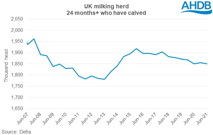 June 2022 UK cow numbers graph